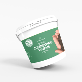 Composting Worms – Red Wigglers 500g
